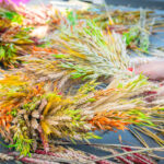 Radio Biwak po godzinach na Festiwalu Produktów Podkarpackich 2024 (fotogaleria) - Polskie Radio Rzeszów