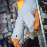 Radio Biwak na falach Wisły w Sandomierzu (fotogaleria) 74 - Polskie Radio Rzeszów Radio Biwak na falach Wisły w Sandomierzu (fotogaleria) - Polskie Radio Rzeszów