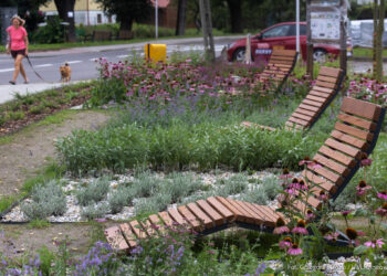 Nowy teren rekreacyjny na&nbsp;Staromieściu w&nbsp;Rzeszowie