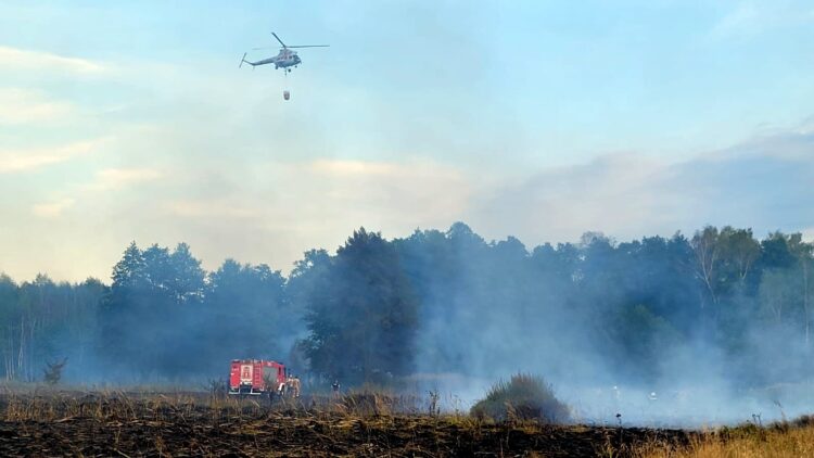Pożar lasu w Rudniku nad Sanem (film)
