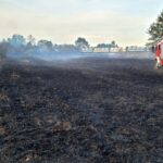 Pożar lasu w Rudniku nad Sanem (film) 2 - Polskie Radio Rzeszów Pożar lasu w Rudniku nad Sanem (film) - Polskie Radio Rzeszów