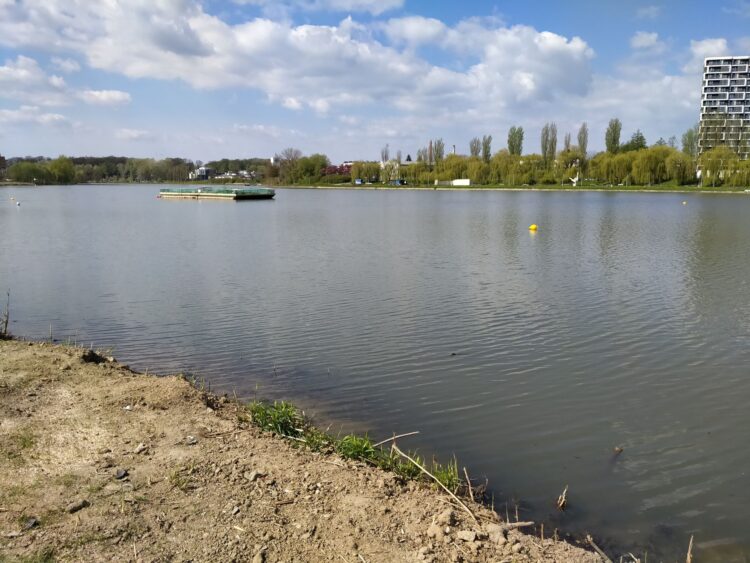 Nad Wisłokiem w Rzeszowie powstanie plaża