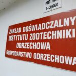 40-lat Hodowli Koni Huculskich w Odrzechowej 4 - Polskie Radio Rzeszów 40-lat Hodowli Koni Huculskich w Odrzechowej - Polskie Radio Rzeszów