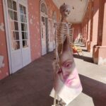 Jubileuszowy plener malarski w Boguchwale 5 - Polskie Radio Rzeszów Jubileuszowy plener malarski w Boguchwale - Polskie Radio Rzeszów