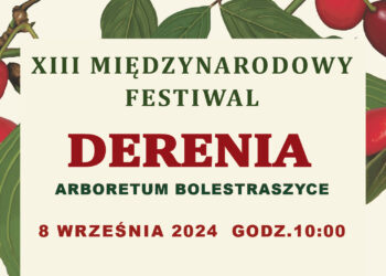 XIII Miedzynarodowy Festiwal Derenia