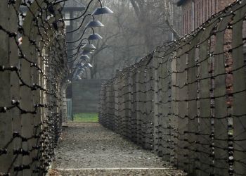 2 sierpnia – Światowy Dzień Pamięci o Zagładzie Romów