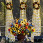 Dożynki Gminne w Mogielnicy 6 - Polskie Radio Rzeszów Dożynki Gminne w Mogielnicy - Polskie Radio Rzeszów