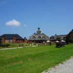 Bieszczadzki Festiwal Filmowy nosi imię Jerzego Janickiego 18 - Polskie Radio Rzeszów Bieszczadzki Festiwal Filmowy nosi imię Jerzego Janickiego - Polskie Radio Rzeszów