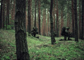 Żołnierze podkarpackiej brygady szkolą się w&nbsp;Estonii