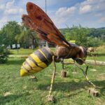 Świat fauny w powiększeniu w poddębickiej Stobiernej (zdjęcia) 3 - Polskie Radio Rzeszów Świat fauny w powiększeniu w poddębickiej Stobiernej (zdjęcia) - Polskie Radio Rzeszów