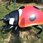 Świat fauny w powiększeniu w poddębickiej Stobiernej (zdjęcia) 2 - Polskie Radio Rzeszów Świat fauny w powiększeniu w poddębickiej Stobiernej (zdjęcia) - Polskie Radio Rzeszów