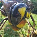 Świat fauny w powiększeniu w poddębickiej Stobiernej (zdjęcia) 4 - Polskie Radio Rzeszów Świat fauny w powiększeniu w poddębickiej Stobiernej (zdjęcia) - Polskie Radio Rzeszów