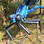 Świat fauny w powiększeniu w poddębickiej Stobiernej (zdjęcia) 8 - Polskie Radio Rzeszów Świat fauny w powiększeniu w poddębickiej Stobiernej (zdjęcia) - Polskie Radio Rzeszów