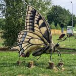 Świat fauny w powiększeniu w poddębickiej Stobiernej (zdjęcia) 6 - Polskie Radio Rzeszów Świat fauny w powiększeniu w poddębickiej Stobiernej (zdjęcia) - Polskie Radio Rzeszów