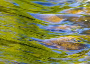 Jakość wody w Lubatówce wraca do normy