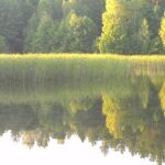 Kulinarne pogaduchy o rybach słodkowodnych 3 - Polskie Radio Rzeszów Kulinarne pogaduchy o rybach słodkowodnych - Polskie Radio Rzeszów