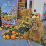 Trwa festiwal "Karpaty na widelcu” (zdjęcia) - Polskie Radio Rzeszów