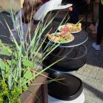 Trwa festiwal "Karpaty na widelcu” (zdjęcia) - Polskie Radio Rzeszów