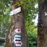 Odnowione oznakowanie szlaków turystycznych na Pogórzu Przemyskim 7 - Polskie Radio Rzeszów Odnowione oznakowanie szlaków turystycznych na Pogórzu Przemyskim - Polskie Radio Rzeszów