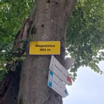 Odnowione oznakowanie szlaków turystycznych na Pogórzu Przemyskim 3 - Polskie Radio Rzeszów Odnowione oznakowanie szlaków turystycznych na Pogórzu Przemyskim - Polskie Radio Rzeszów