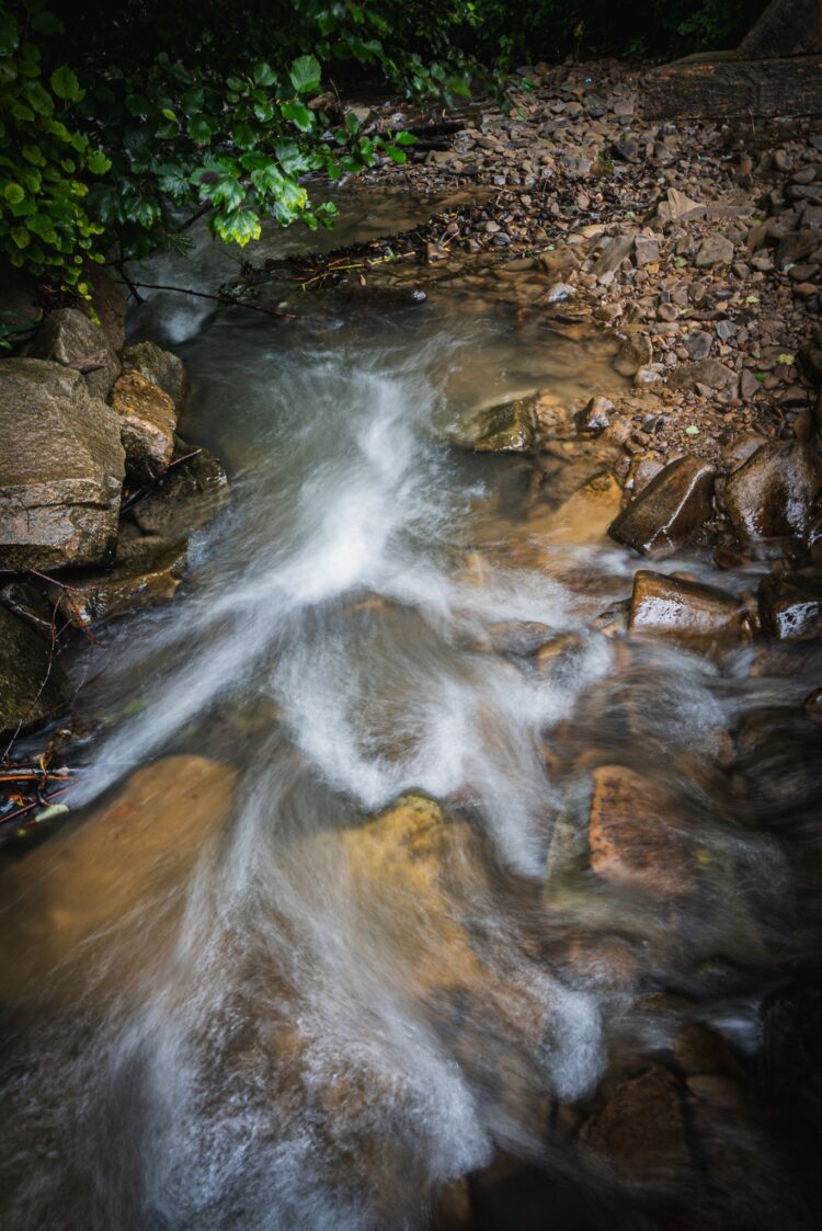 Bardzo niski stan wód w rzekach