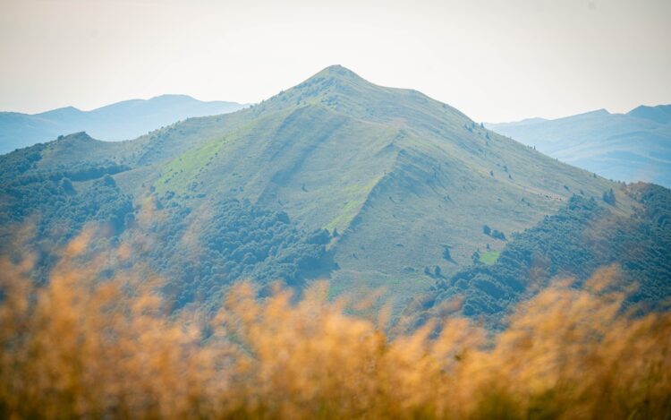 W Bieszczadach złota polska jesień