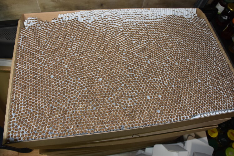 Policjanci przechwycili nielegalne papierosy