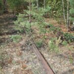 Kradli tory, wpadli na gorącym uczynku - Polskie Radio Rzeszów