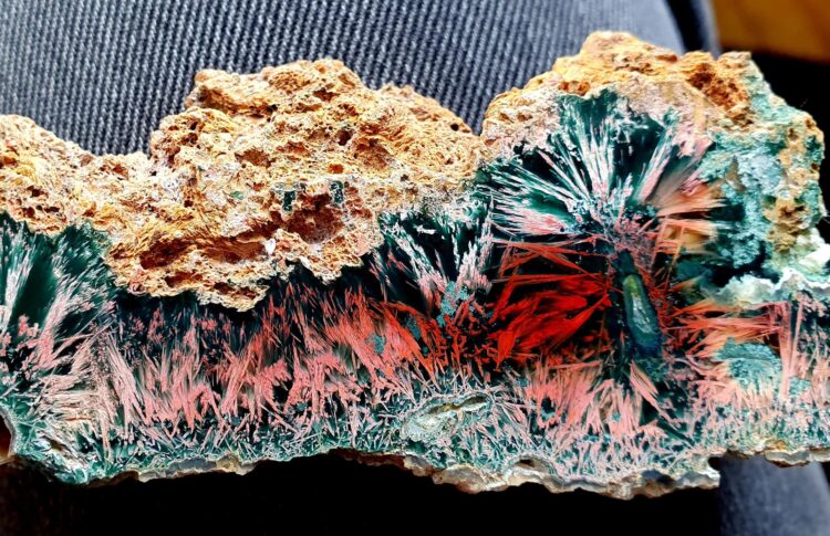 Międzynarodowa wystawa i giełda minerałów ponownie w Rzeszowie