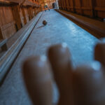 „Zobaczyć Podkarpacie” - specjalna audycja z Sanoka (zdjęcia) 53 - Polskie Radio Rzeszów „Zobaczyć Podkarpacie” - specjalna audycja z Sanoka (zdjęcia) - Polskie Radio Rzeszów