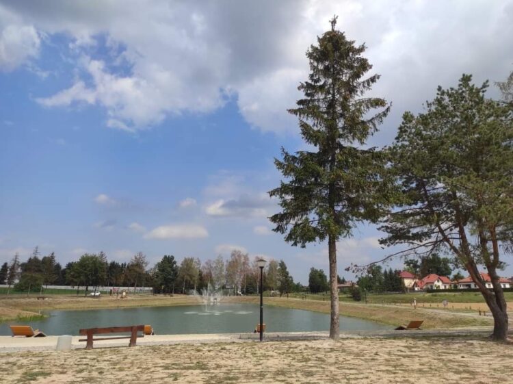 Piknik nad Zbiornikiem Wodnym „Skrzynczyna” w Sędziszowie Małopolski