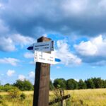 Odnowione oznakowanie szlaków turystycznych na Pogórzu Przemyskim 5 - Polskie Radio Rzeszów Odnowione oznakowanie szlaków turystycznych na Pogórzu Przemyskim - Polskie Radio Rzeszów