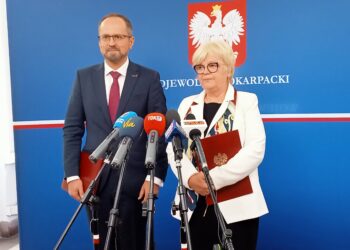 BGK zachęca samorządy do&nbsp;brania pożyczek na&nbsp;„zieloną transformację”