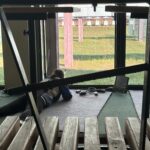 Podium dla uczennic LO z Kolbuszowej 10 - Polskie Radio Rzeszów Podium dla uczennic LO z Kolbuszowej - Polskie Radio Rzeszów