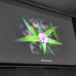 Przyrodniczy PDF 4 - Polskie Radio Rzeszów Przyrodniczy PDF - Polskie Radio Rzeszów