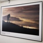 Euroregion otworzył biuro w Bardejowie - Polskie Radio Rzeszów