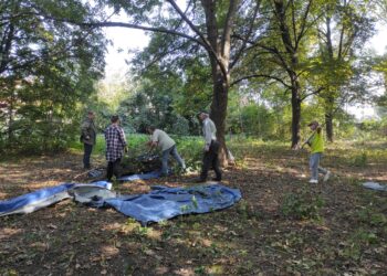 Rzeszowianie porządkują żydowski cmentarz