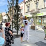 Po niemal roku prac ulica Grunwaldzka w Rzeszowie zmieniła wygląd (zdjęcia) - Polskie Radio Rzeszów