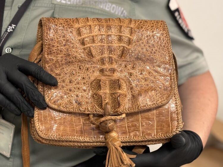 Próbował przewieźć torebkę ze skóry krokodyla przez polsko-ukraińską granicę 1 - Polskie Radio Rzeszów Próbował przewieźć torebkę ze skóry krokodyla przez polsko-ukraińską granicę