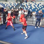 Boks. Ogromne zainteresowanie Turniejem bokserskim w Mielcu 9 - Polskie Radio Rzeszów Boks. Ogromne zainteresowanie Turniejem bokserskim w Mielcu - Polskie Radio Rzeszów