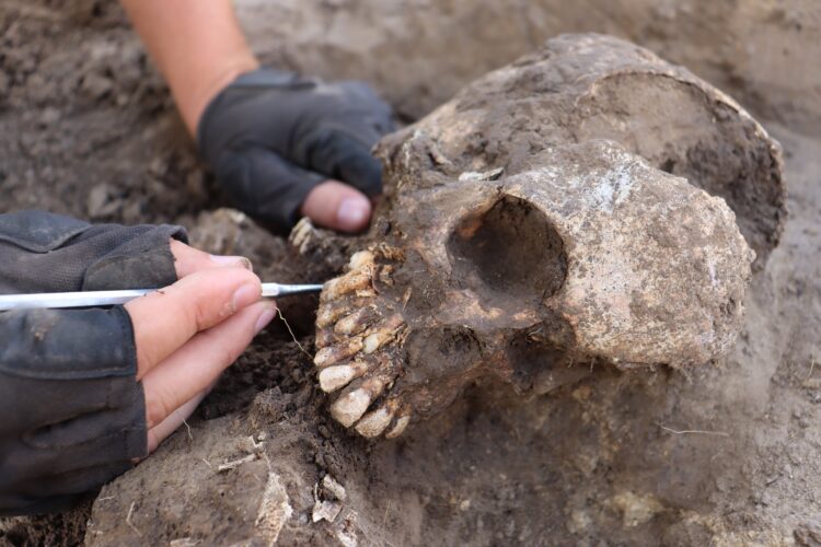 Archeolodzy z UR odkryli wyjątkowe artefakty w Orłach koło Przemyśla 1 - Polskie Radio Rzeszów Archeolodzy z UR odkryli wyjątkowe artefakty w Orłach koło Przemyśla