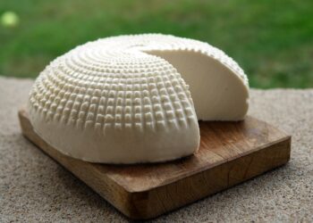 Chiny/Najstarszy ser na&nbsp;świecie liczy ponad 3,5 tys. lat