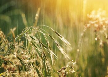 Kolejna deszczowa noc w&nbsp;regionie