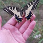 Zwierzomaniak 25.08 2 - Polskie Radio Rzeszów Zwierzomaniak 25.08 - Polskie Radio Rzeszów