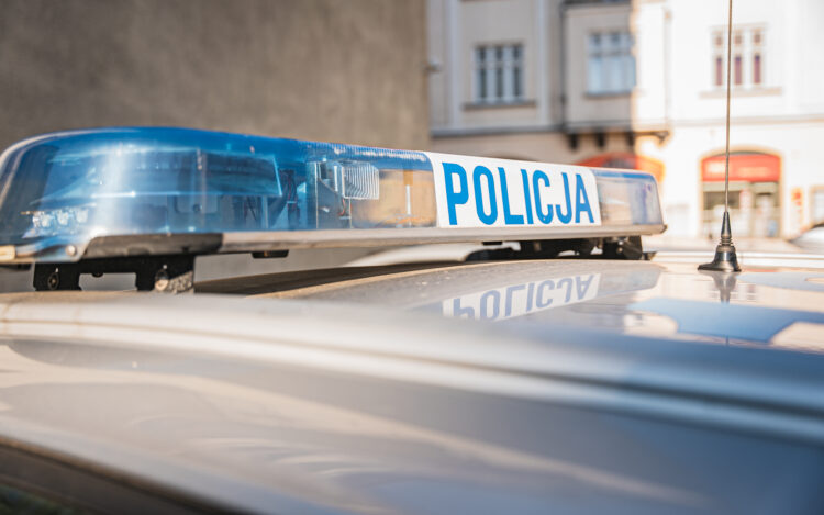 82-latek z zarzutem uśmiercenia kotka. Uderzał nim o drzewo 1 - Polskie Radio Rzeszów 82-latek z zarzutem uśmiercenia kotka. Uderzał nim o drzewo