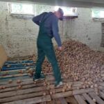 Ruszyły "Ziemiopłody", zbiórka na rzecz podopiecznych RTP Św. Brata Alberta - Polskie Radio Rzeszów