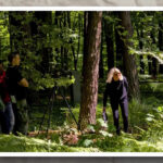 Film „Zrównać z ziemią” w 80 rocznicę zburzenia Jasła - Polskie Radio Rzeszów