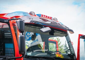 84-letni mężczyzna zginął w&nbsp;pożarze traw