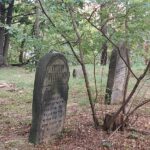 Marsz Pamięci w Tarnobrzegu 10 - Polskie Radio Rzeszów Marsz Pamięci w Tarnobrzegu - Polskie Radio Rzeszów