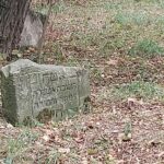 Marsz Pamięci w Tarnobrzegu 2 - Polskie Radio Rzeszów Marsz Pamięci w Tarnobrzegu - Polskie Radio Rzeszów